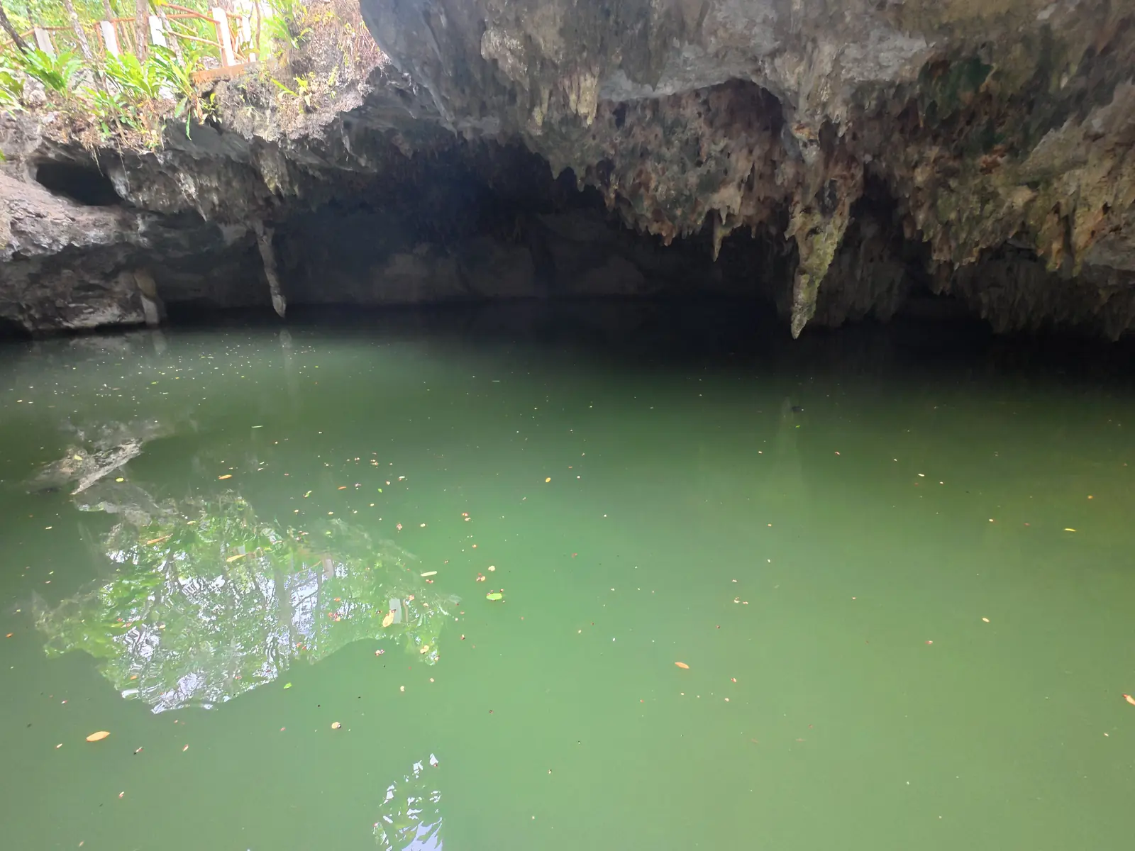 Cenote Jade y nado